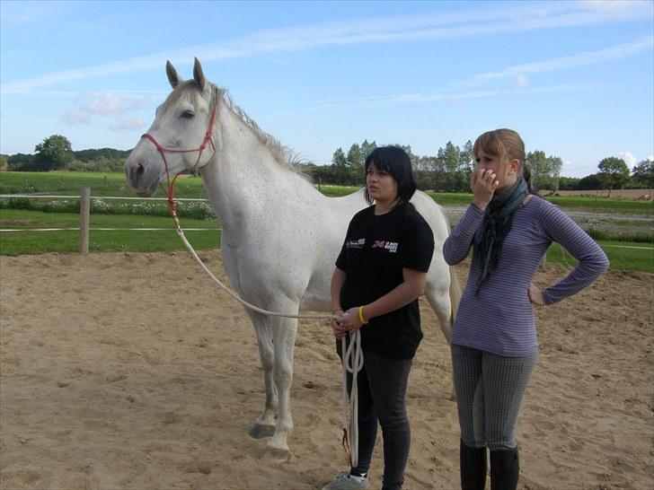 Anden særlig race Tøzen  billede 17
