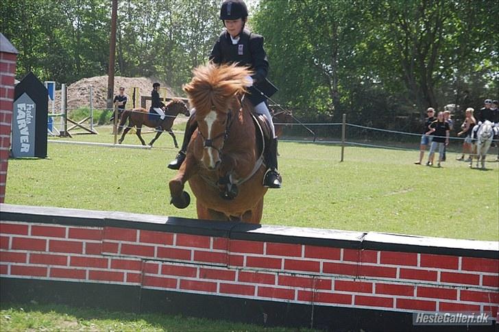 Anden særlig race Bobby Solgt - Første mur nogensinde! billede 15