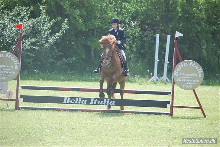Anden særlig race Bobby Solgt - Vi kører med klatten!! billede 16