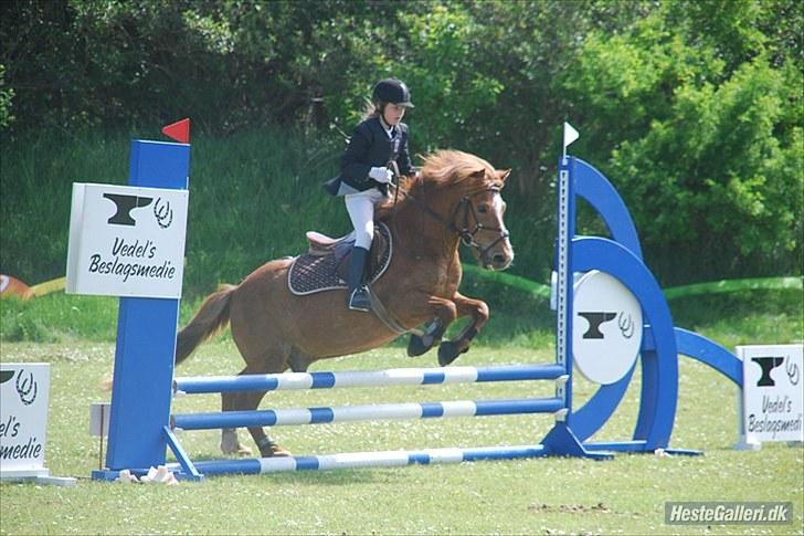 Anden særlig race Bobby Solgt - Bobby og Natasja :D What a great team  billede 17