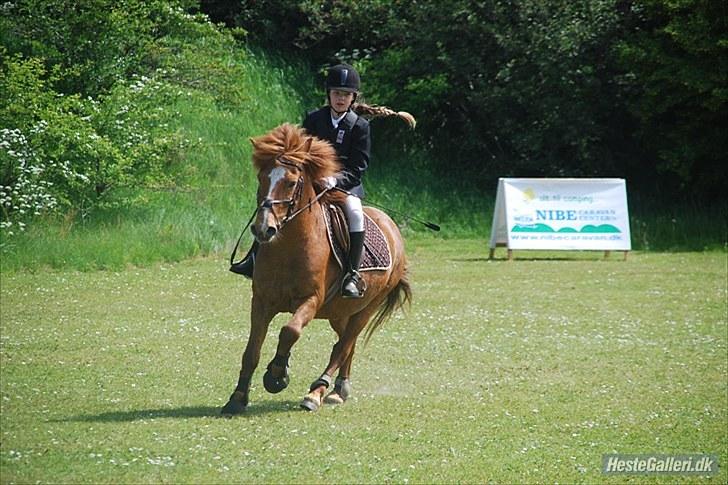 Anden særlig race Bobby Solgt - Så er der fart på! billede 18