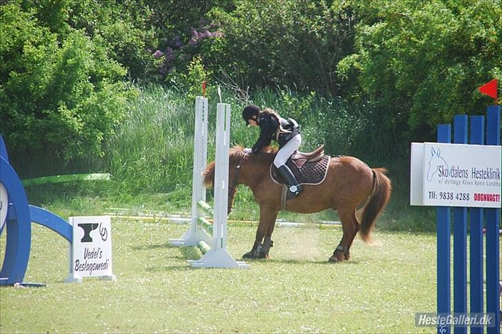 Anden særlig race Bobby Solgt - Nej jeg vil ikke mere!!  billede 19