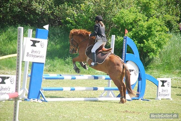 Anden særlig race Bobby Solgt - Okay så.. Et sidste spring :)  billede 20