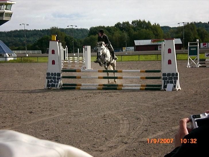 DSP Dorreen billede 6