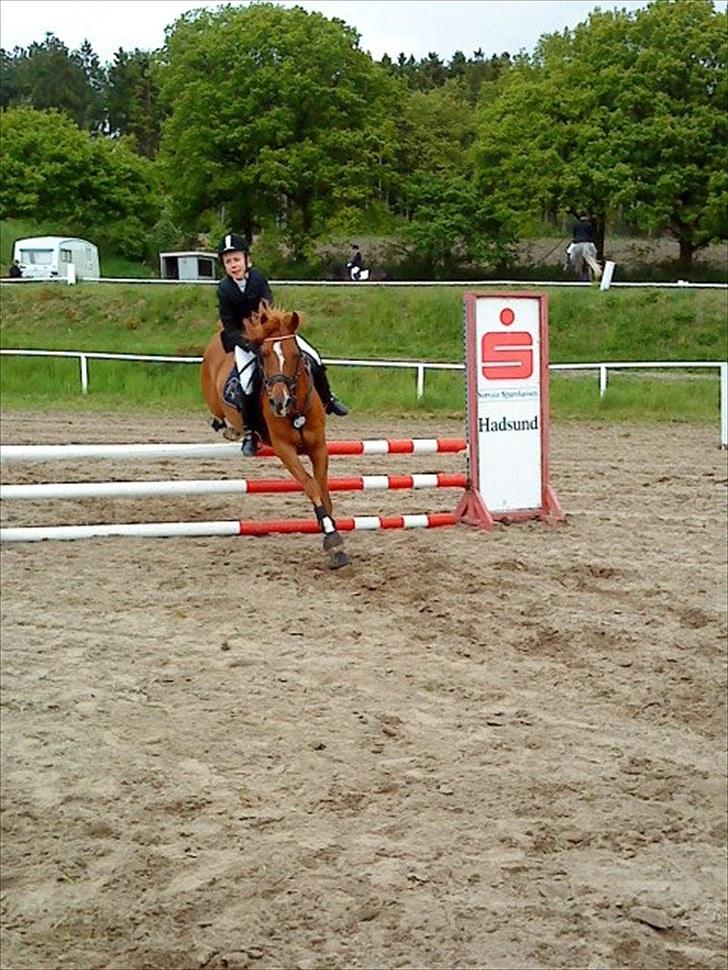 Anden særlig race Moon-Star - 1. stævne på dig :* billede 8