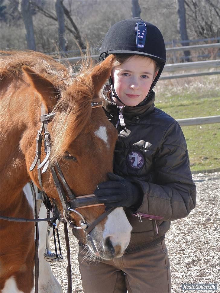 Pinto Lerke-lill SOLGT billede 2