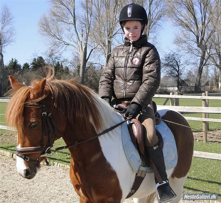 Pinto Lerke-lill SOLGT billede 7