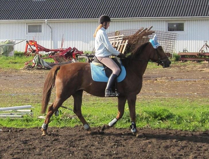 Traver Nete (Solgt) R.I.P :( - Med lyseblåt sæt :) <3 billede 5