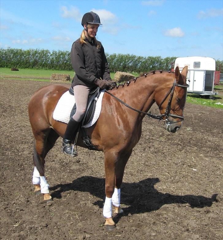 Traver Nete (Solgt) R.I.P :( - Parade :) billede 6