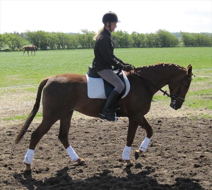 Traver Nete (Solgt) R.I.P :( - skridt<3 billede 7