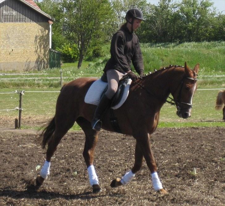 Traver Nete (Solgt) R.I.P :( - Trav :D billede 8