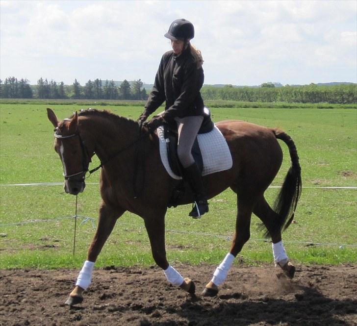 Traver Nete (Solgt) R.I.P :( billede 10