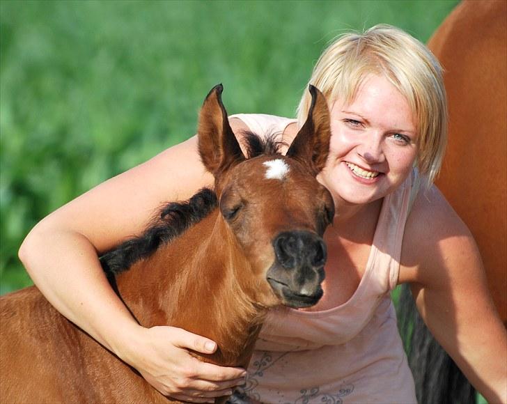 Arabisk fuldblod (OX) Zijara Amelia E'jaaz billede 6