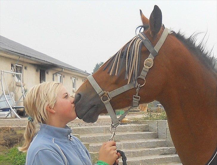 Appaloosa Andree DRØMMEPONYEN!<3 SOLGT - Fordi jeg elsker ham mere end noget andet i;<3 billede 6