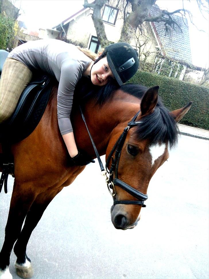 New Forest Marron (PART) - MARRON&MIG. billede 10