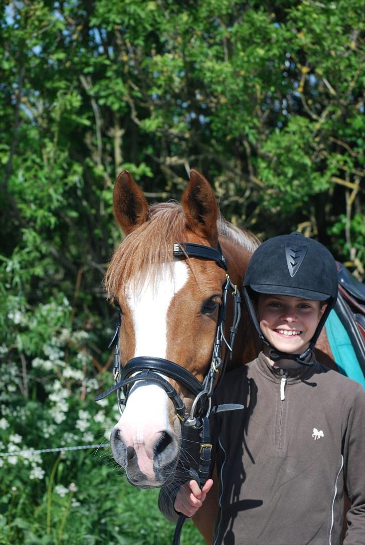 Anden særlig race Trille  billede 8