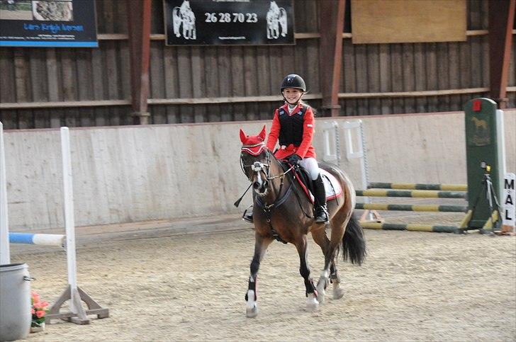 Welsh Pony af Cob-type (sec C) Åvangens Victoria - På vej ind til premie overrakelse meget glad fordi vi vandt klassen (:p havde helt ny stævne jakke på og victoria nyt underlag)<3<3<3<3  billede 15