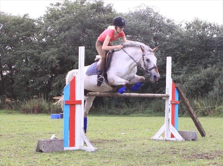 Anden særlig race SKOVGÅRDENS SHARNIE<3 -ninja-gede-knirke- - 10) Fordi vi har lært hinanden at springe♥  billede 6