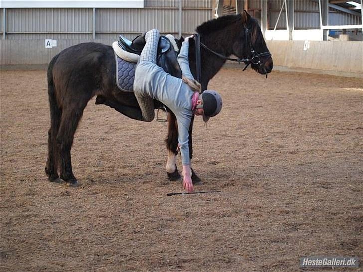 Anden særlig race Dinna<3 billede 15