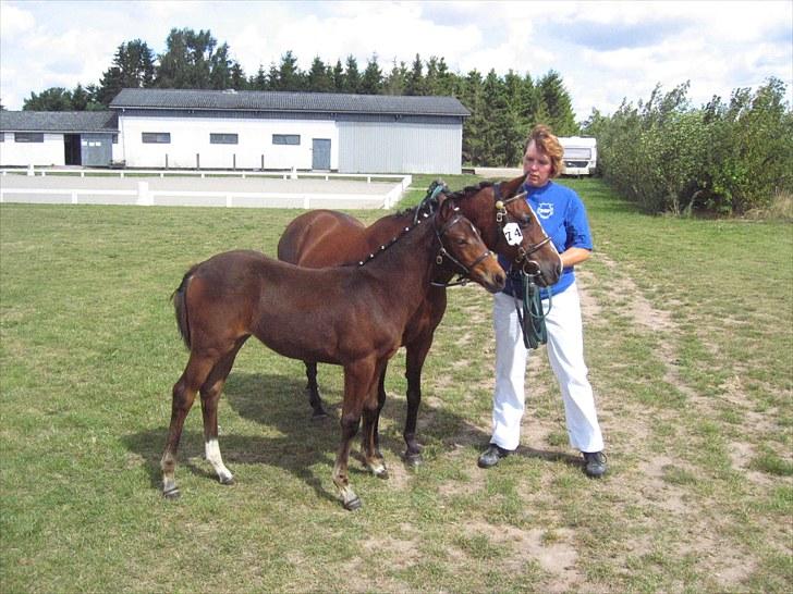 DSP Fredbo's i-Pod SAVNET! billede 11