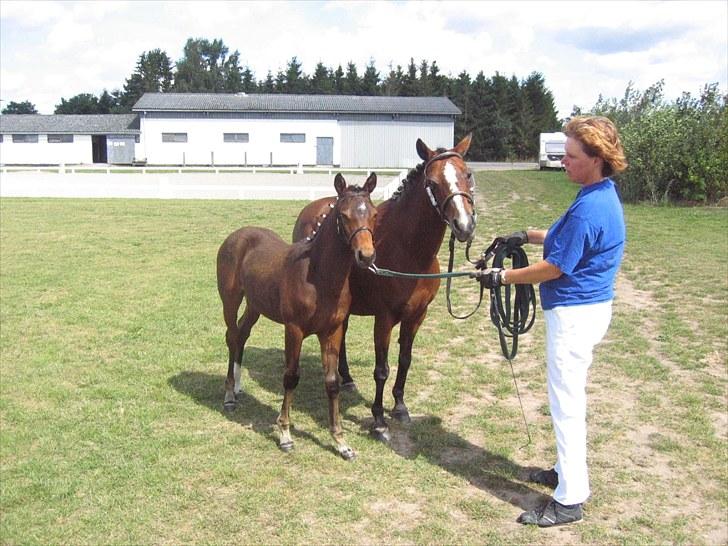 DSP Fredbo's i-Pod SAVNET! billede 12