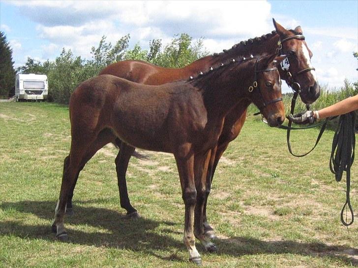 DSP Fredbo's i-Pod SAVNET! billede 13