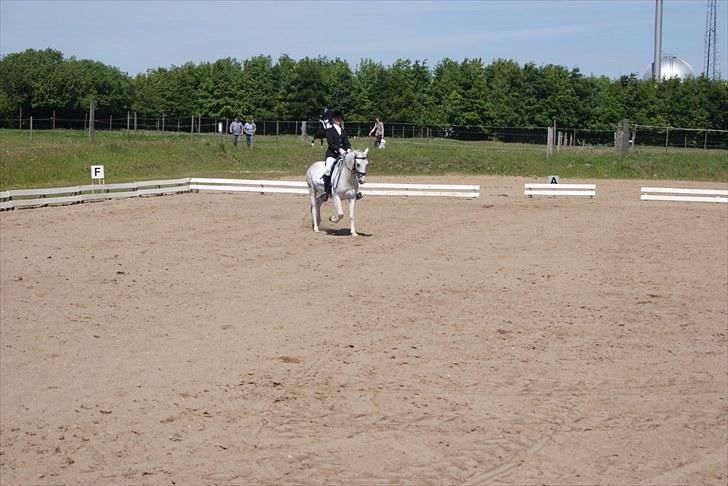 Anden særlig race shadow - elsker den dreng<3 billede 9