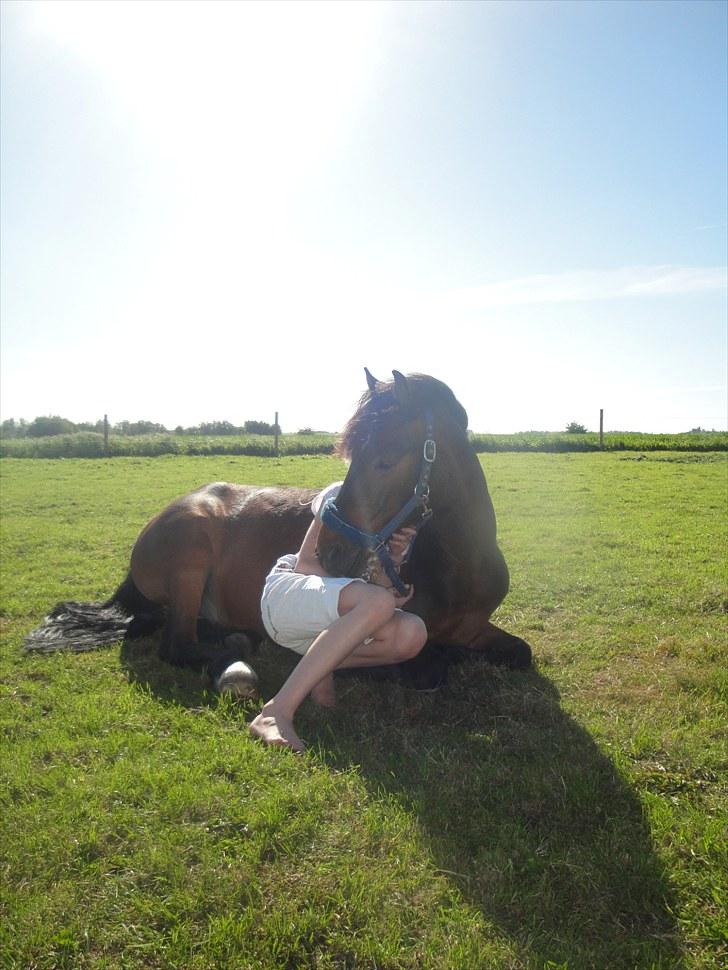 New Forest Ida´s Moonlight *Monty* - mig og min monty dreng :)        eej jeg kunne bare side og kigge på det billede hele dagen, elsker det! billede 6