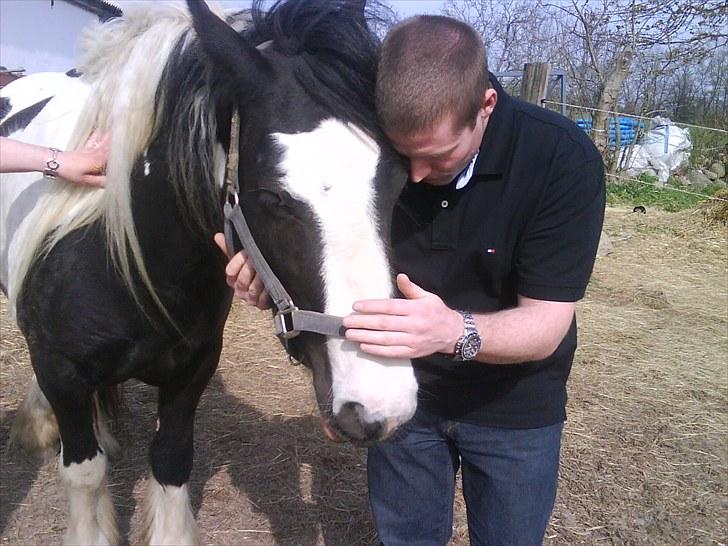 Tinker Royal Sascha billede 12