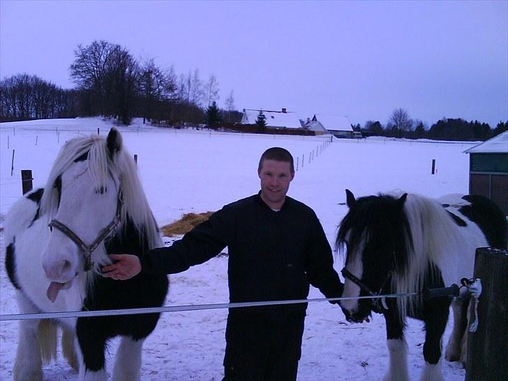 Tinker Royal Sascha billede 14