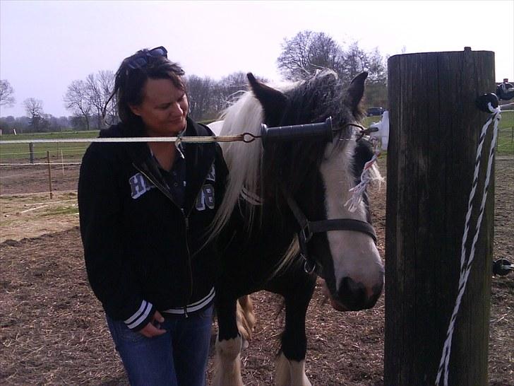 Tinker Royal Sascha billede 15