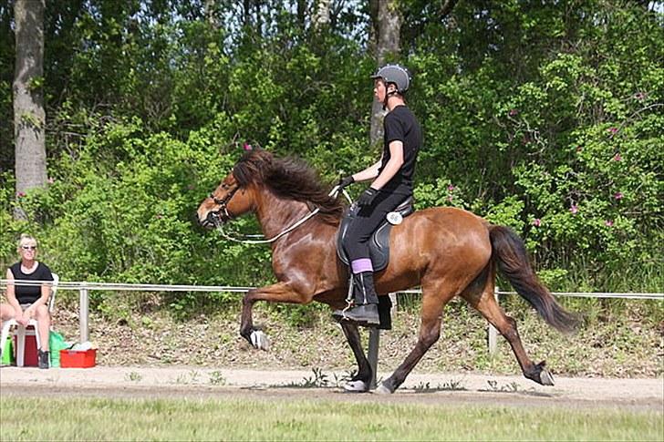 Islænder Vina Vom Neuhoff - Kristian og Vina i deres første T.2 til fyns ;D billede 16