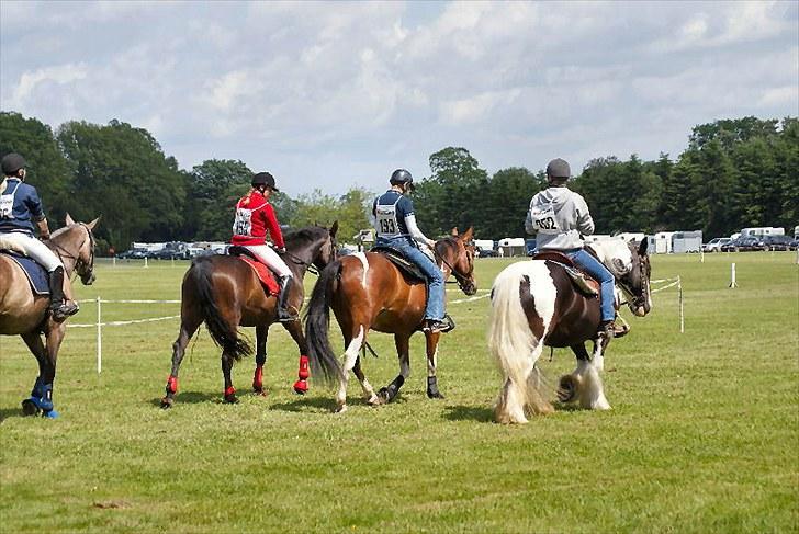Dansk Varmblod Niendamgaards Morgan - Så gik starten på de 15 km :) Irene/Shannon, Jette/Theo, Helene/Milancio S og Mig/Morgan billede 17