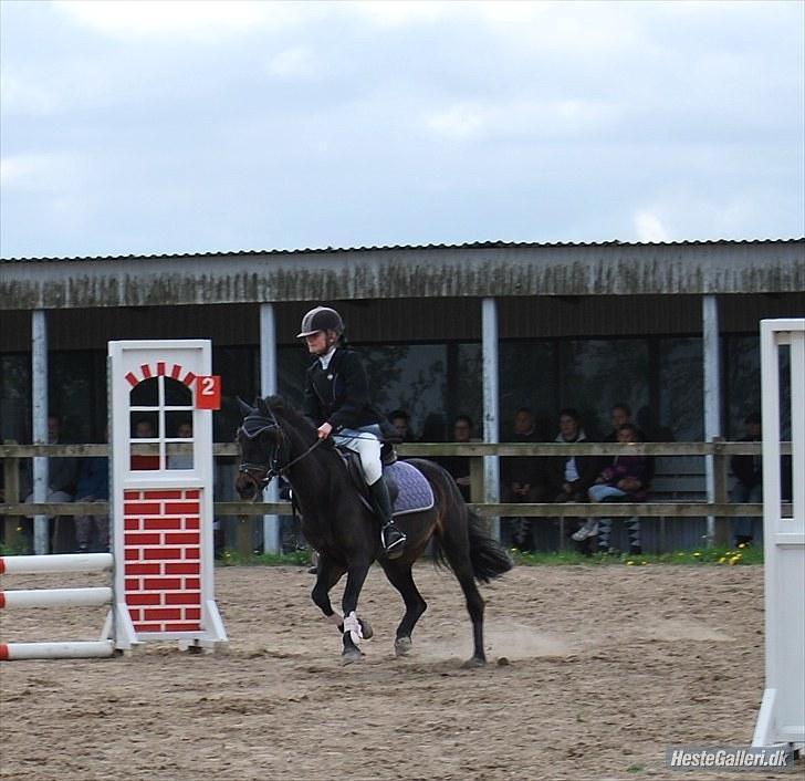 Anden særlig race Dinna<3 - seje dinna:D billede 16