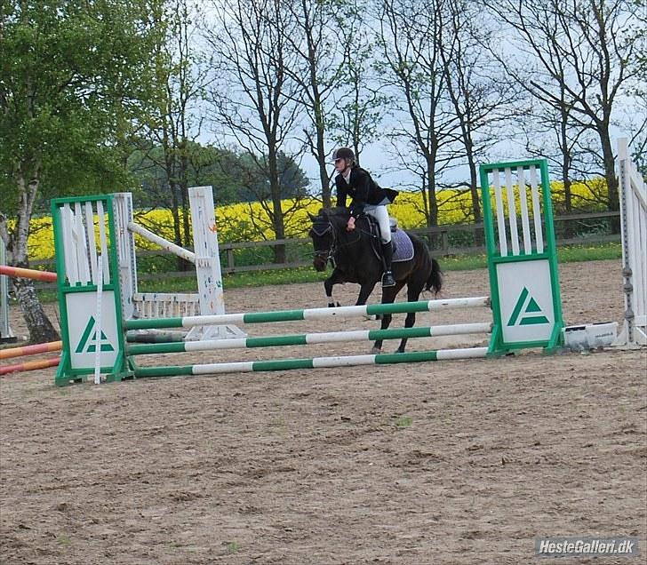 Anden særlig race Dinna<3 billede 17