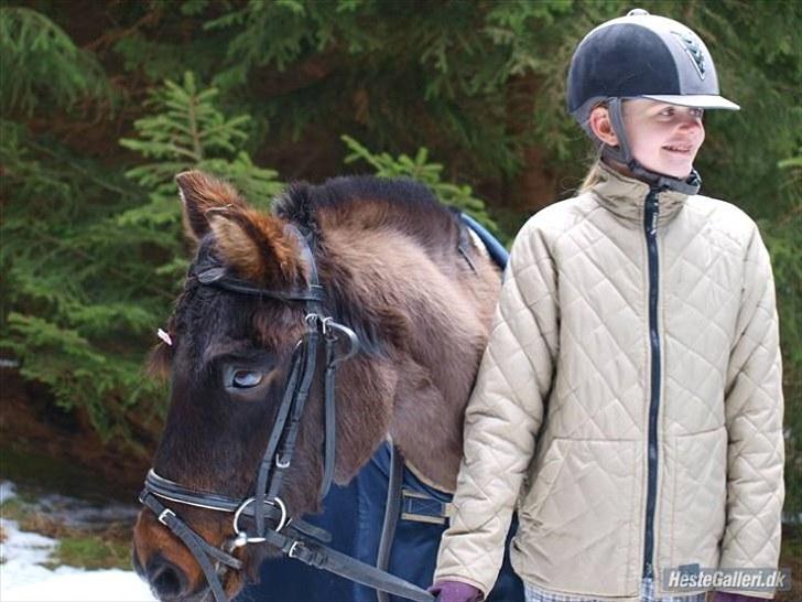 Anden særlig race Dinna<3 billede 18