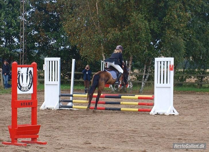 Anden særlig race Dinna<3 billede 19