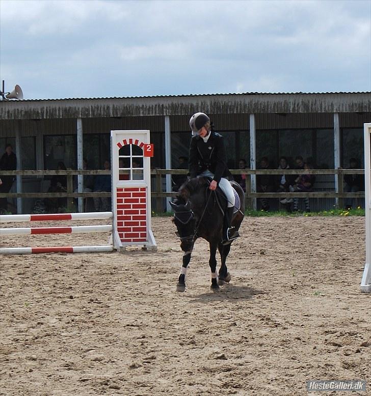 Anden særlig race Dinna<3 billede 20