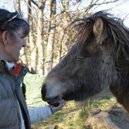 Islænder Sóley fra Skovstrupholm