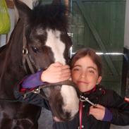 Anden særlig race Bum-Bum