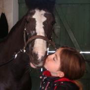 Anden særlig race Bum-Bum