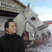 Anden særlig race Windsor 