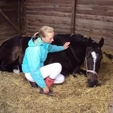 Oldenborg Rosenhavens Ann *YNDLINGS-HESTEN*