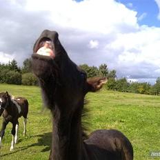 Frieser Amazing Dark Prince