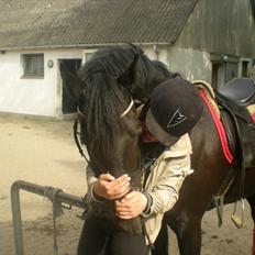 Anden særlig race Noah