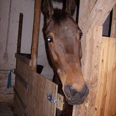 Traver Follow Ancker R.I.P.