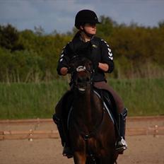 Anden særlig race Angelique SOLGT