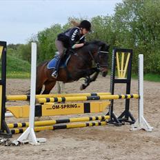 Anden særlig race Angelique SOLGT