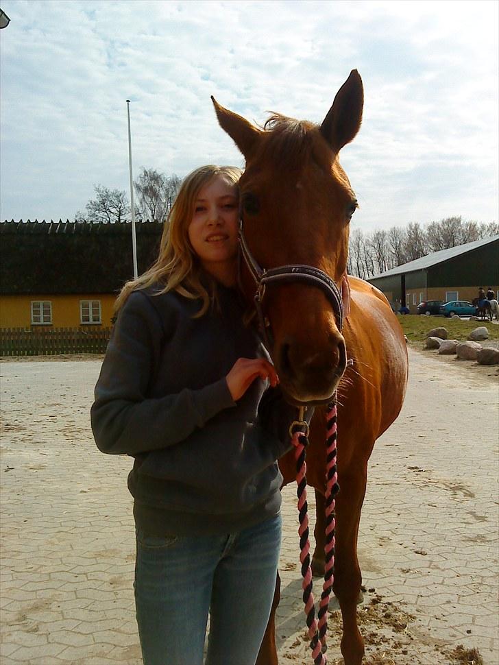 Anden særlig race Rosa (Mit savn!) - Så blev en pludselig til to... og nu er to blevet til en... kom tilbage!   billede 13