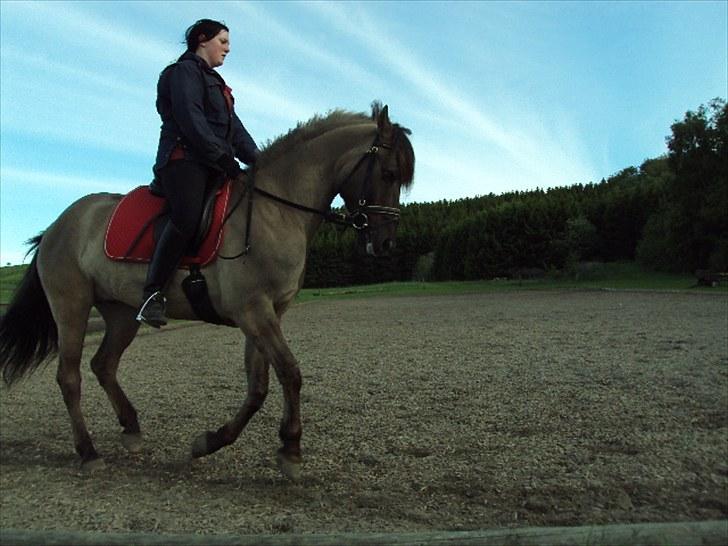 Anden særlig race Hannibal ( tidl. part) billede 13